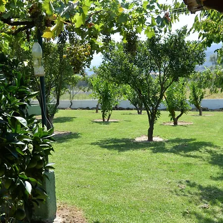 νέος πύργος Family