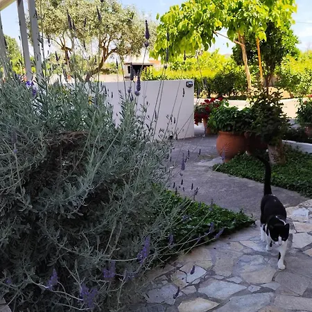 Апартаменты νέος πύργος Family *